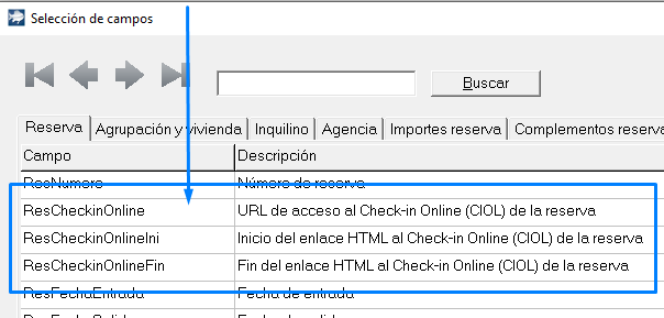 campos-plantillas-ciol-873
