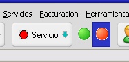 eliminar_servicio_individual