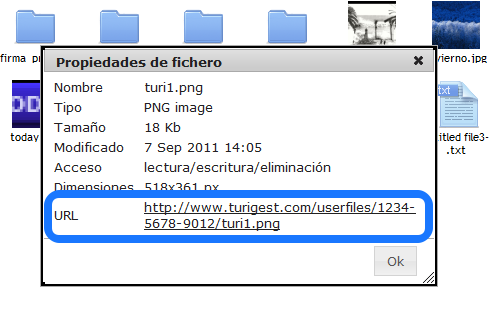 url_imagen_en_recursos_online